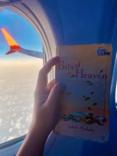 Bits of Heaven